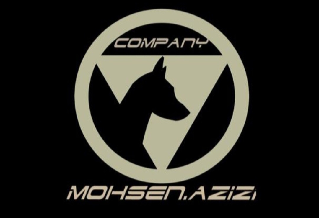 بازرگانی محسن عزیزی 